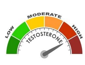 Een schaal die een hoog testosteron aangeeft